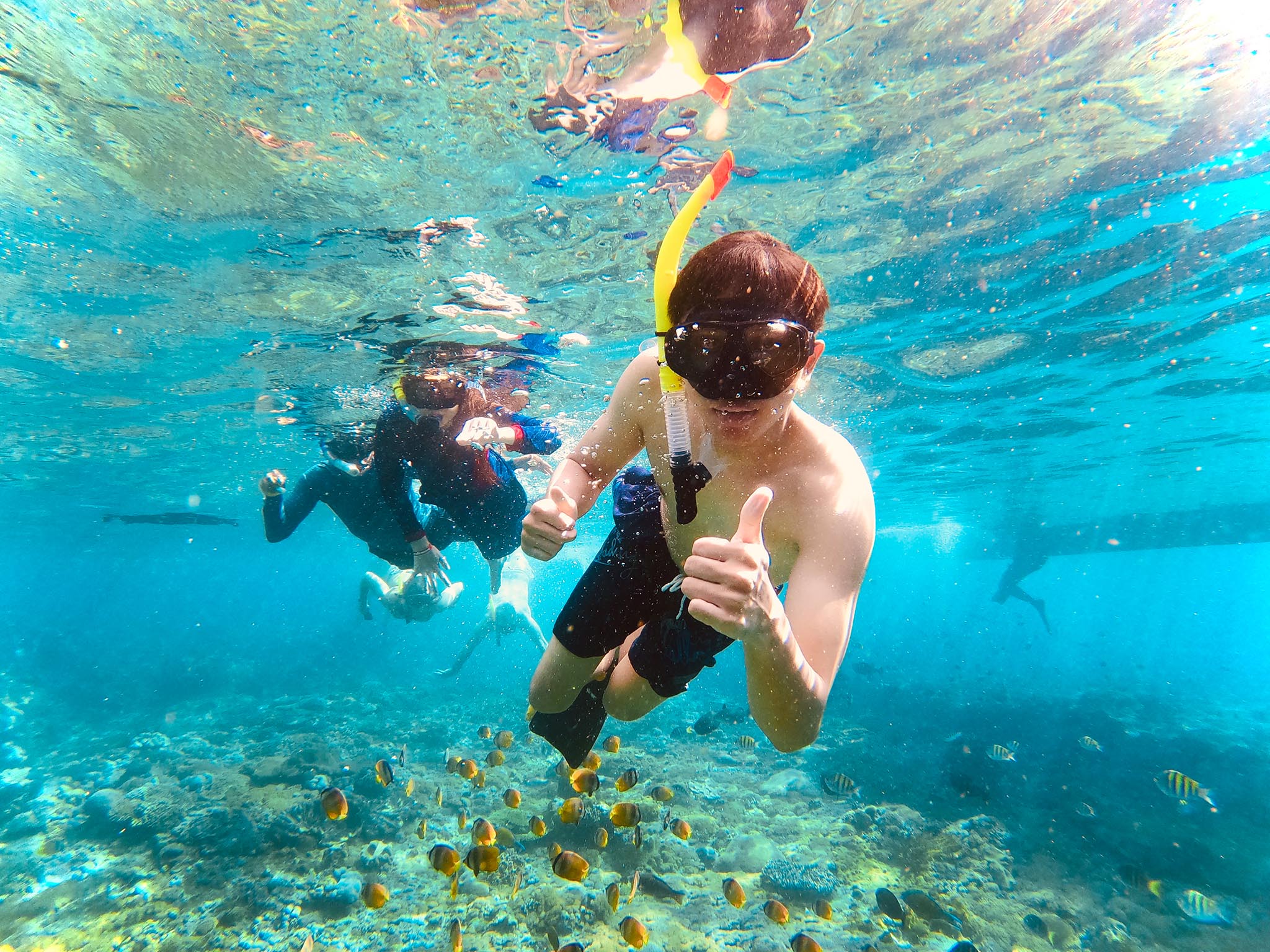Paket snorkeling pribadi di lokasi sarang pari manta dengan pemandu di Nusa Penida - Gallery 7