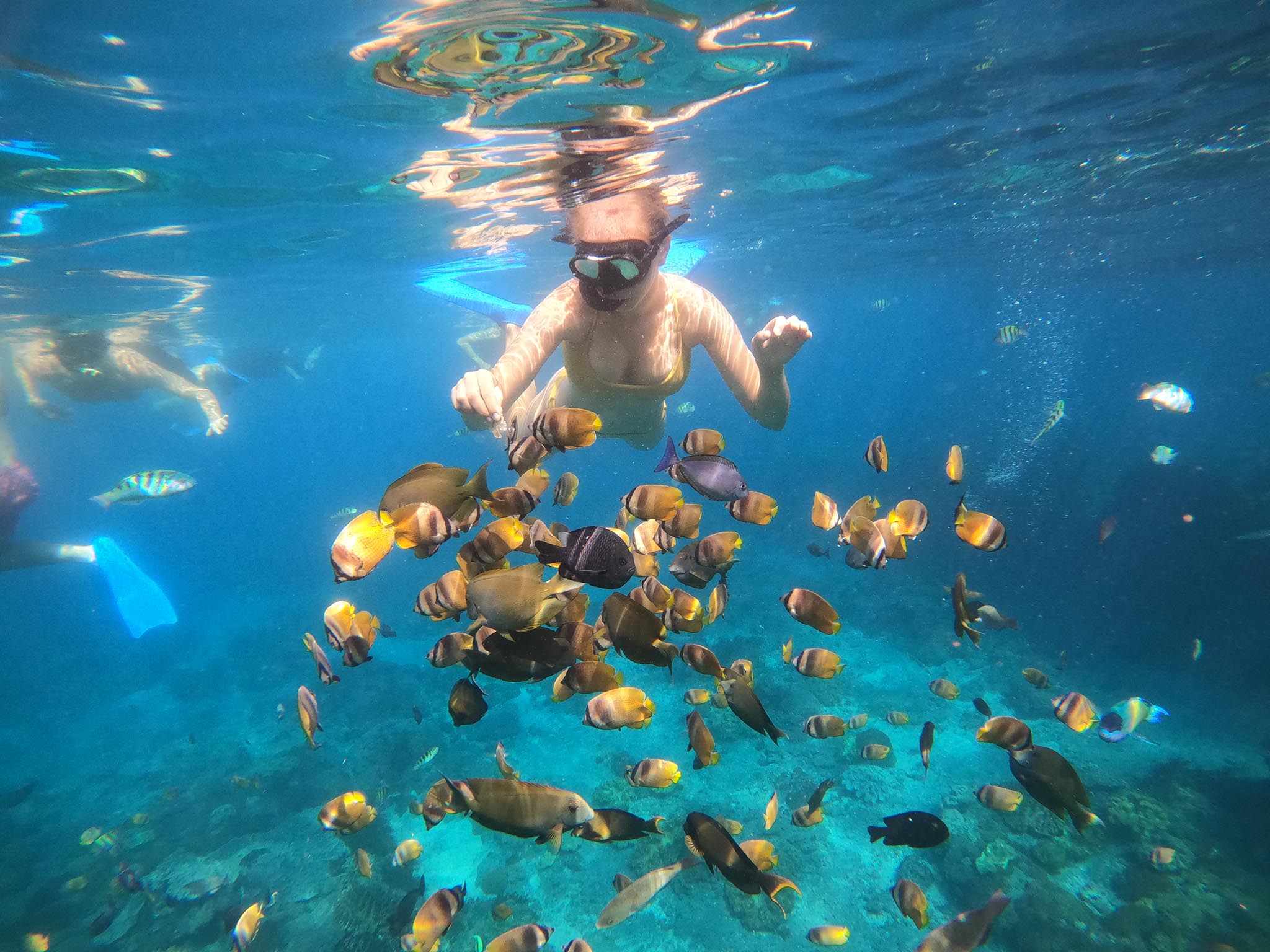 Paket snorkeling pribadi di lokasi sarang pari manta dengan pemandu di Nusa Penida - Gallery 9