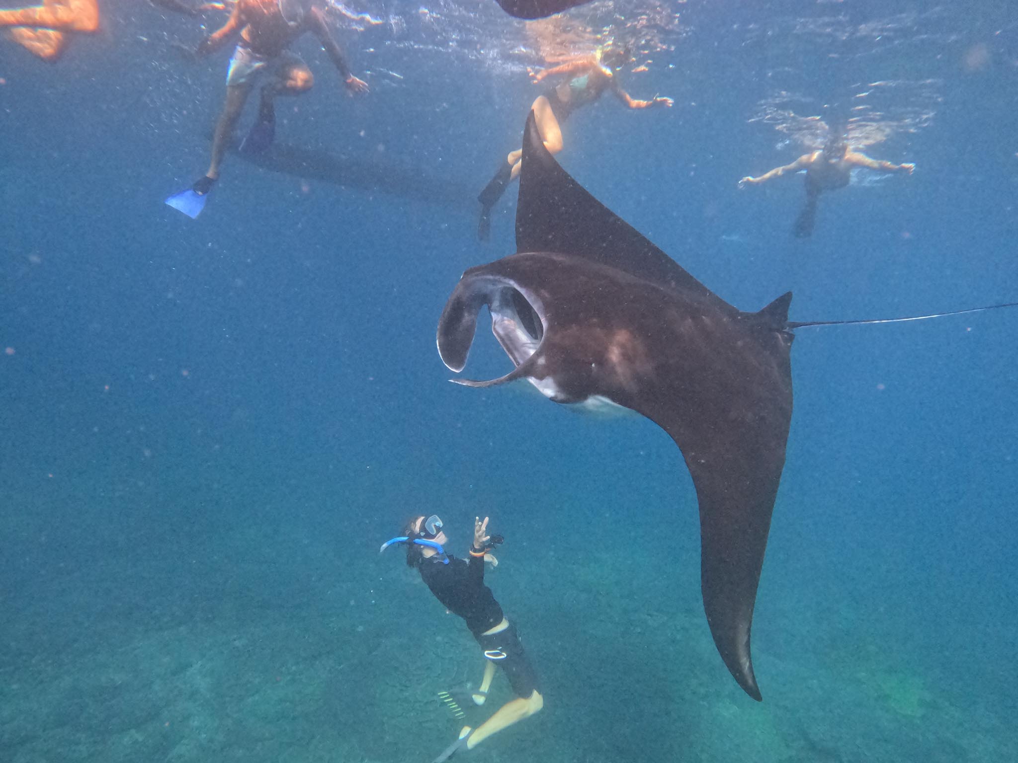 Paket snorkeling pribadi di lokasi sarang pari manta dengan pemandu di Nusa Penida