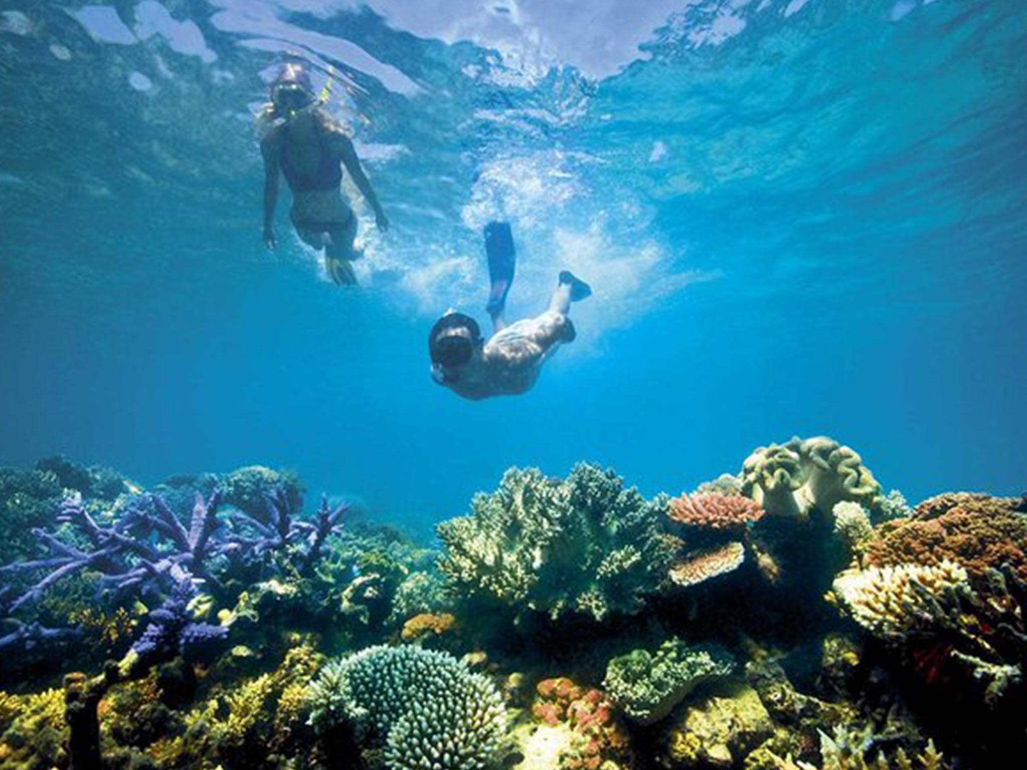 Snorkeling di Pantai Blue Lagoon dengan Makan Siang