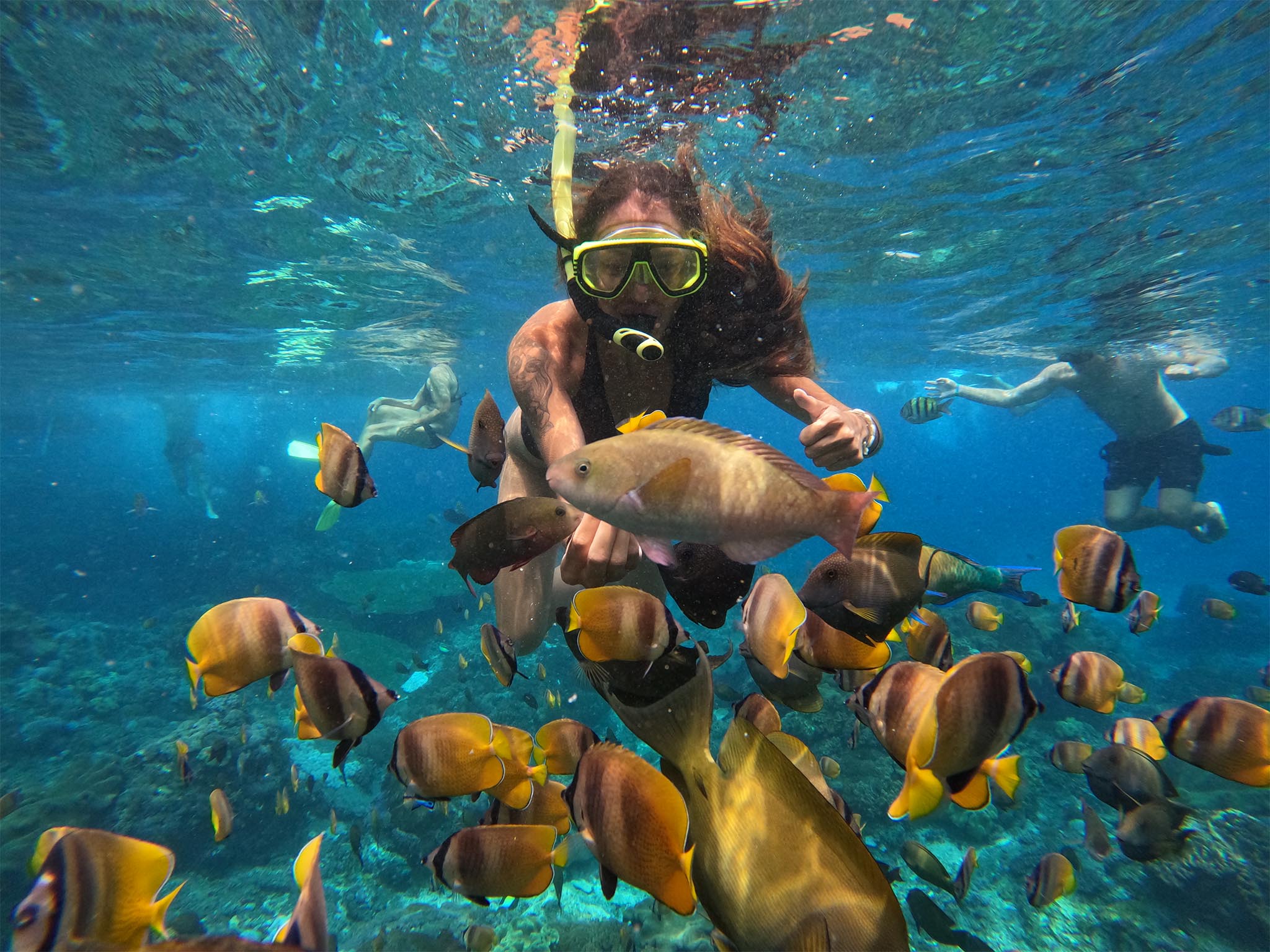 Paket snorkeling pribadi ke 4 lokasi dengan ikan berwarna-warni di Nusa Penida - Gallery 7