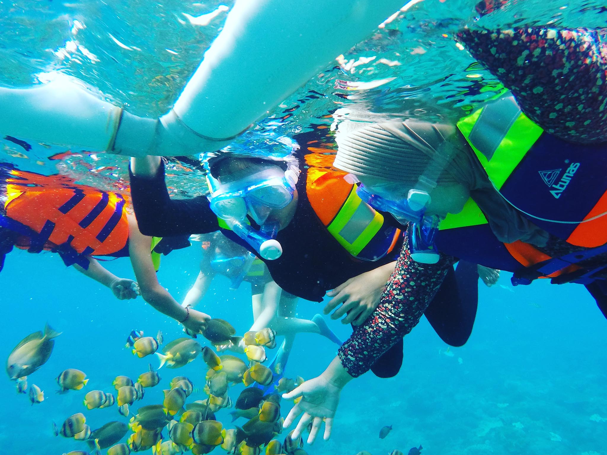 Paket snorkeling pribadi ke 4 lokasi dengan ikan berwarna-warni di Nusa Penida - Gallery 8