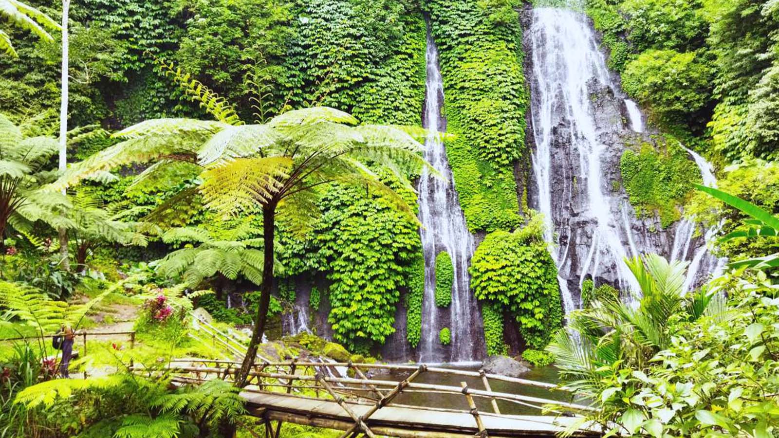 Danau Beratan, Gerbang Handara, Air Terjun & Danau Kembar - Gallery 5