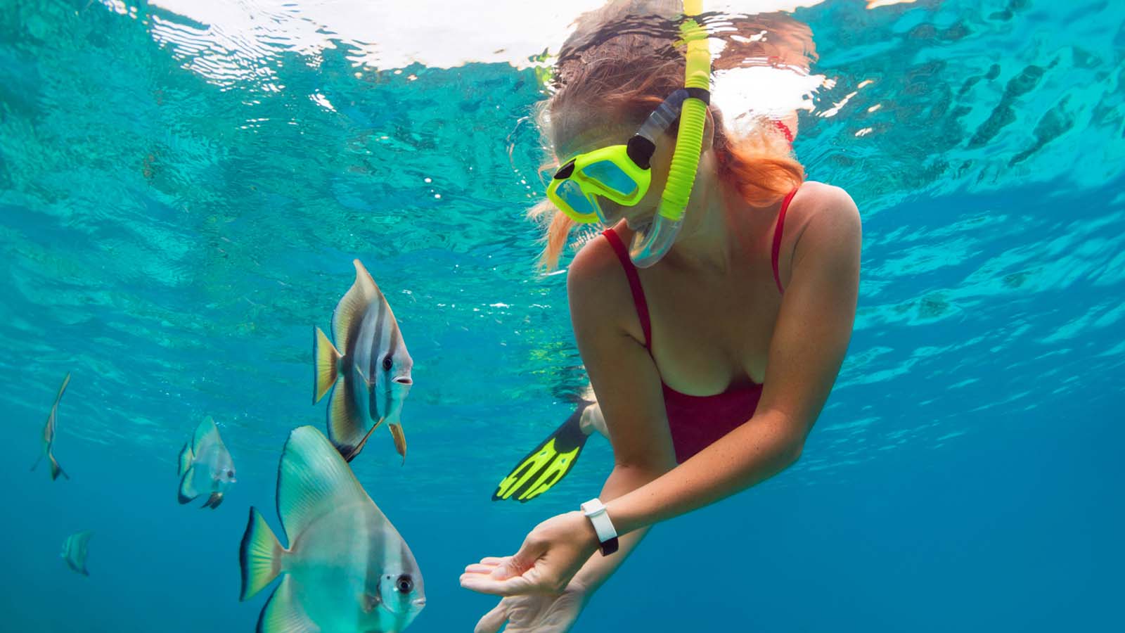 Tur Pribadi: Kuil Heaven Gate, Tirta Gangga, dan Snorkeling di Blue Lagoon - Gallery 7