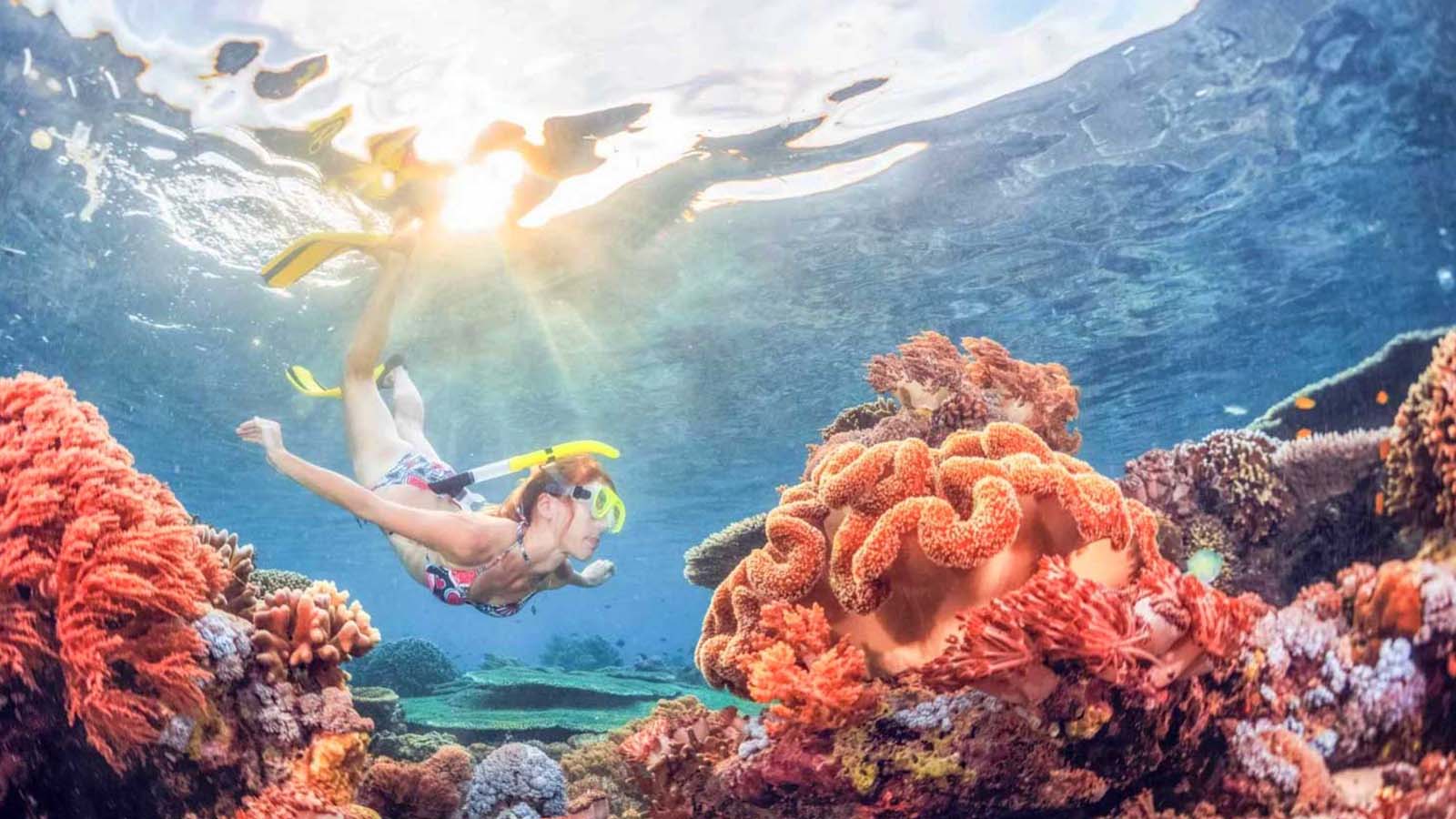 Tur Pribadi: Kuil Heaven Gate, Tirta Gangga, dan Snorkeling di Blue Lagoon