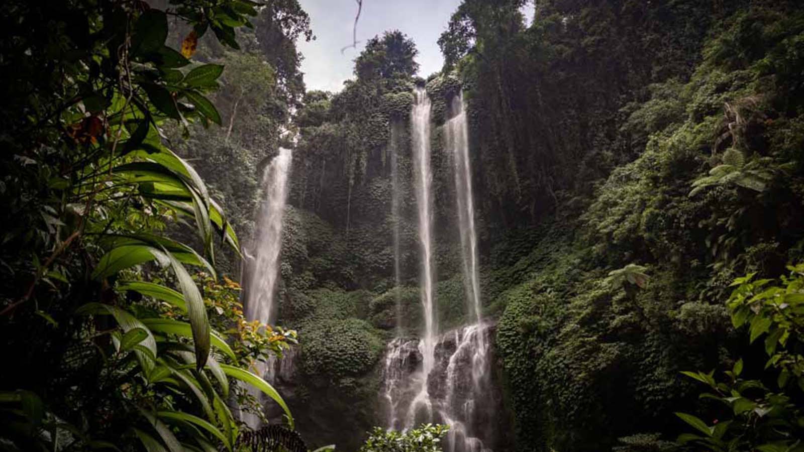 Tur Pribadi: Air Terjun Sekumpul yang Menakjubkan dan Kuil Ulun Danu - Gallery 2