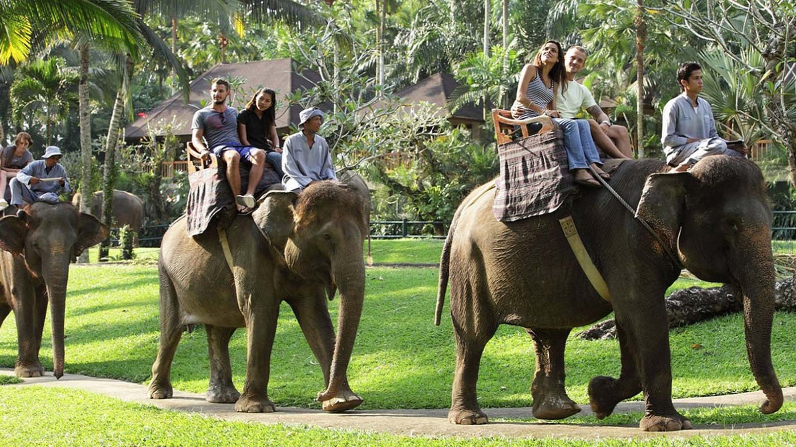 Tur Arung Jeram, Suaka Gajah, dan Jungle Swing - Gallery 4