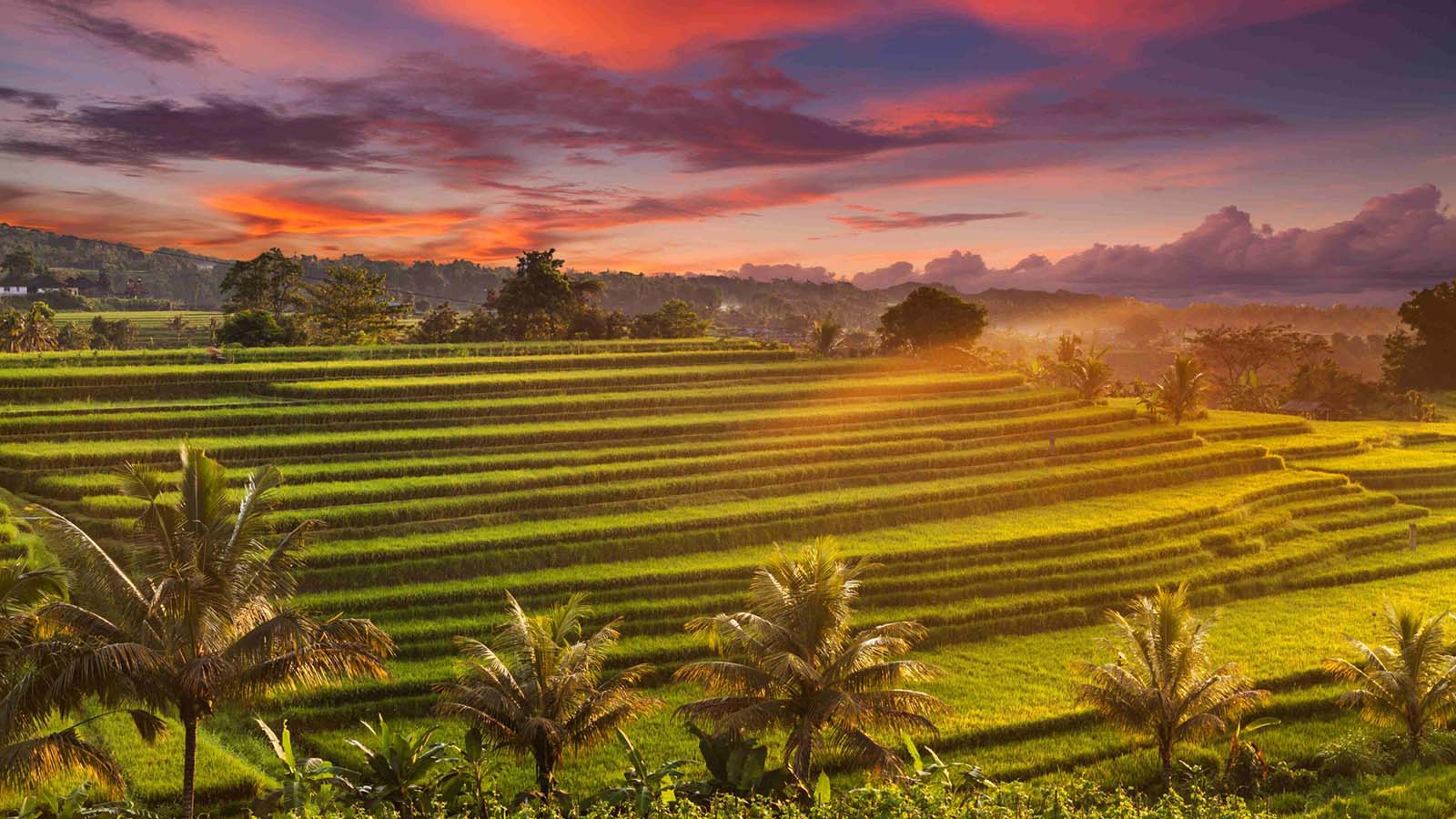 Temukan Air Terjun Tersembunyi, Teras Sawah Situs Warisan Dunia UNESCO, dan Kuil di Pegunungan - Gallery 2