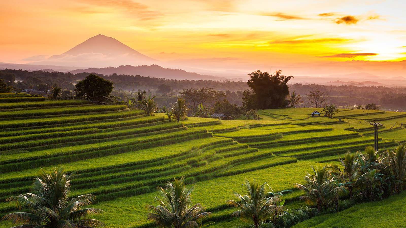 Temukan Air Terjun Tersembunyi, Teras Sawah Situs Warisan Dunia UNESCO, dan Kuil di Pegunungan - Gallery 3