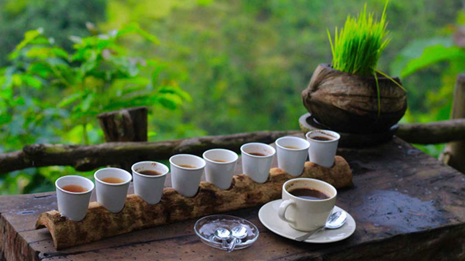Wisata Terbaik Ubud dengan Ayunan Hutan - Gallery 9