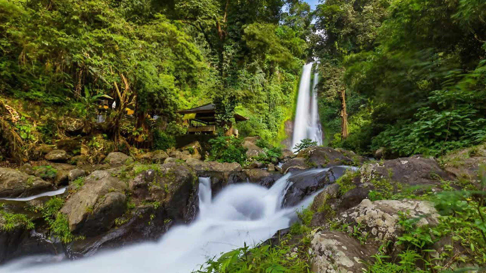 Lumba-lumba yang Menakjubkan di Lovina, Mata Air Panas, Air Terjun & Kuil Ulun Danu - Gallery 3