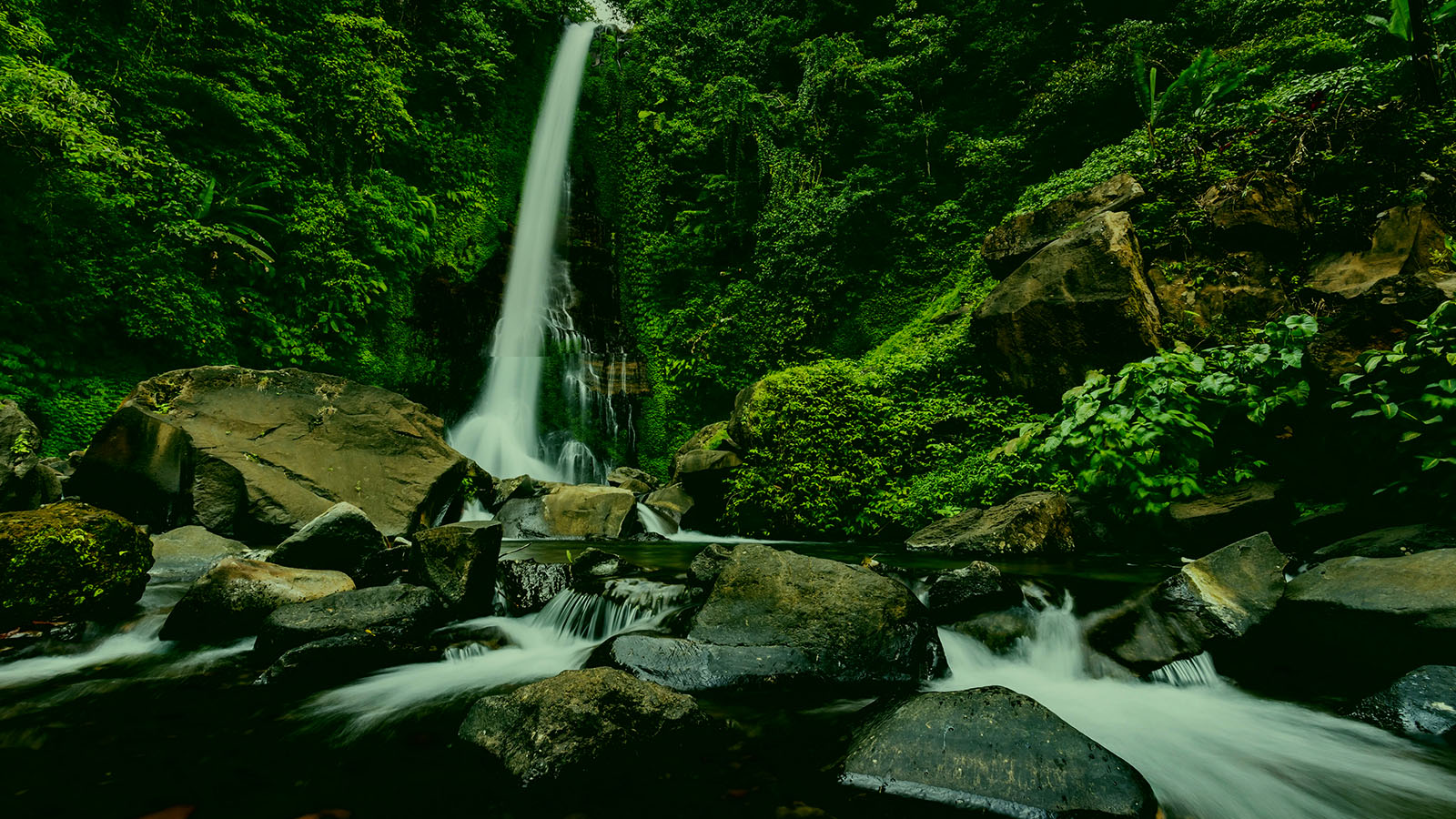 Lumba-lumba yang Menakjubkan di Lovina, Mata Air Panas, Air Terjun & Kuil Ulun Danu - Gallery 4