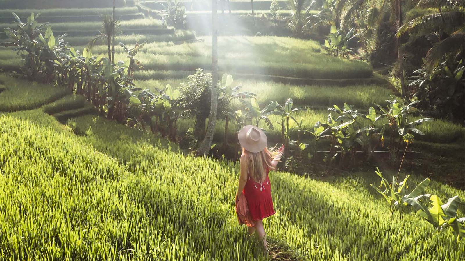 Bali Tengah Utara yang Menakjubkan - Gallery 9